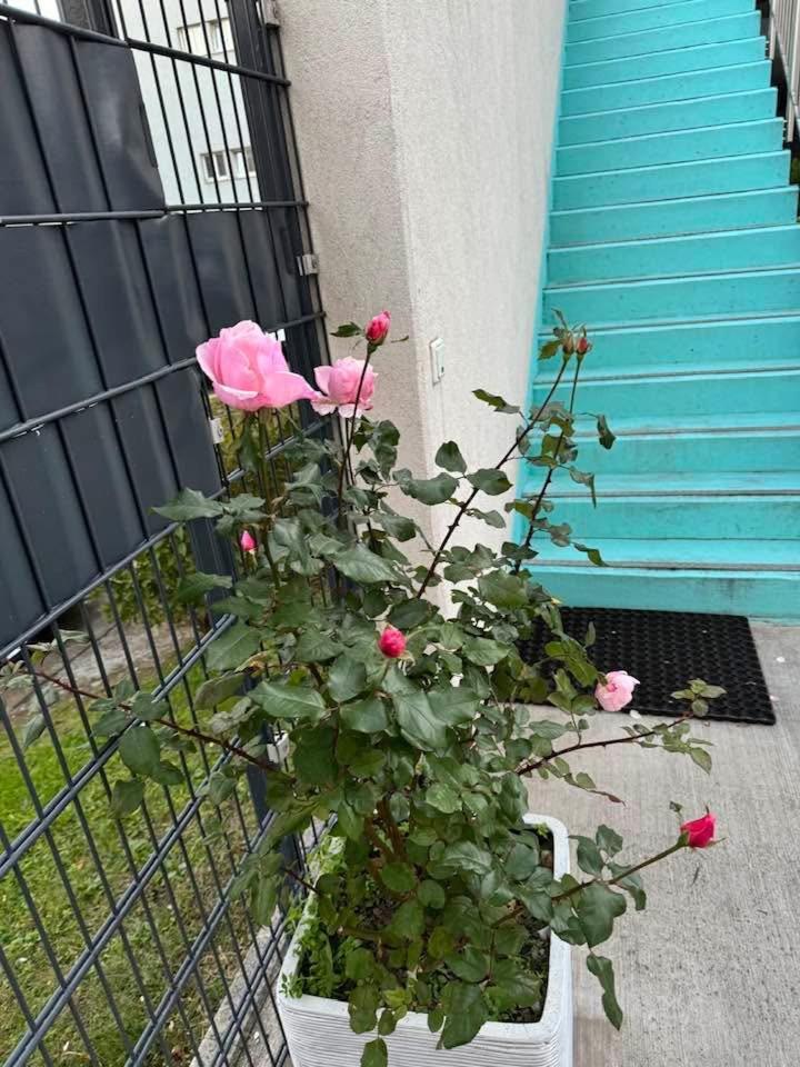 Hotel Koenig Wien Eksteriør billede
